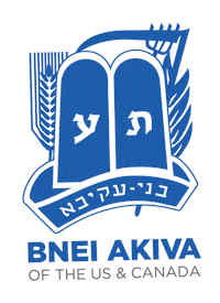 Sticker by bneiakiva