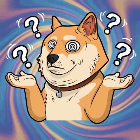 Shiba Inu What GIF by Doge Pound