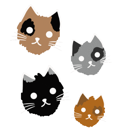 Cat Sticker