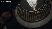 Horror Doll GIF by USA Network