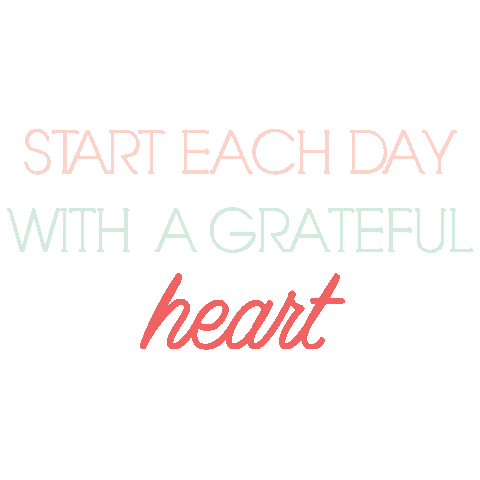 Words Frases Sticker by Magnólia Papelaria