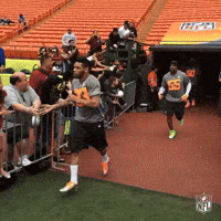 teamrice GIF by NFL
