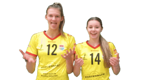 Volleyball Sticker by Draisma Dynamo