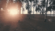 Nuskin Nu Skin Paradise Vacation Vacay Pto Timeoff GIF by Nu Skin