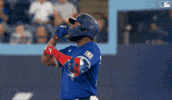 Lets Go Celebration GIF by Toronto Blue Jays