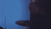 burgerrecords burger records i didnt know part time GIF