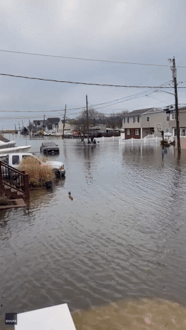Man Paddles Children to School on Flooded Long Island Street