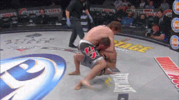 bellator GIF