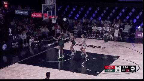 StephNoh giphyupload GIF