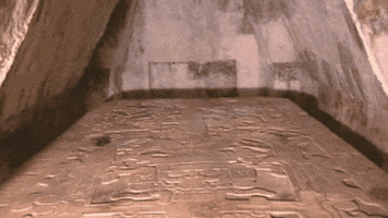 sebastianwookie10 giphyupload GIF