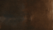 United States Usa GIF