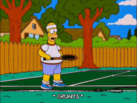 homer simpson GIF