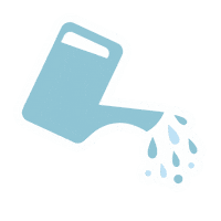 Watering Can Sticker by Poco Posy