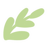 Leaf Sticker by Poco Posy