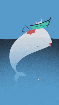 Sperm Whale GIF