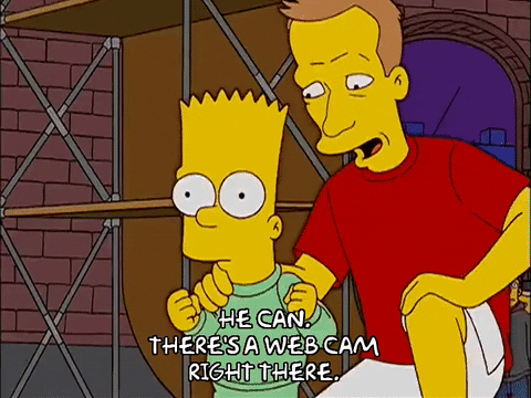bart simpson episode 6 GIF