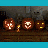 GIF by Cadwyn Housing Association