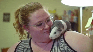 guardian cat cute dog hello GIF