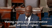 Voting Rights Georgia GIF by GIPHY News