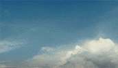 Lilo And Stitch GIF by Walt Disney Studios