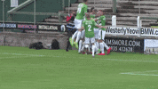 Goal Celebrate GIF by Yeovil Town FC