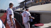 usssapride softball fastpitch usssa npf GIF