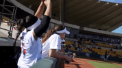 usssapride softball fastpitch usssa npf GIF