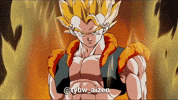 Dragon Ball GIF