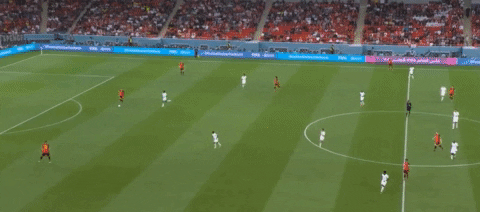 premierleaguenewsnow giphyupload belgium fifa world cup 2022 GIF