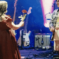 Red Roses GIF by Respective