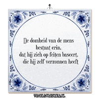 Humor Reflectie Sticker by Tegelspreuken.nl