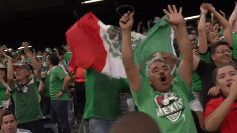 selecciÃ³n mexicana GIF by MiSelecciónMX