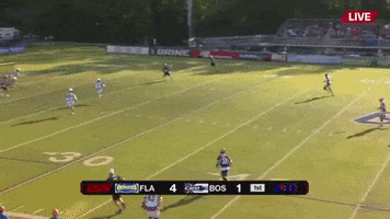 major league lacrosse GIF by Boston Cannons
