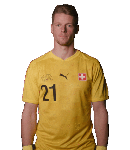 Stop No Sticker by Swiss Football Association
