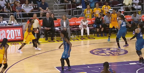 game 3 basketball GIF by WNBA