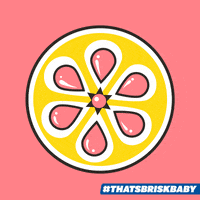 art brisk iced tea GIF by Brisk