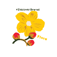 Brunei Yellow Flower Sticker by bruneitourismofficial