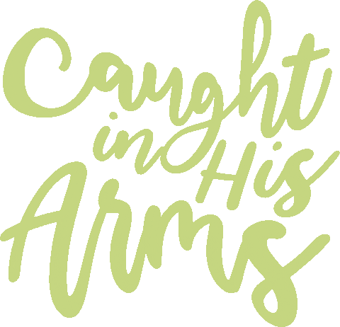 Ventrecanardstories Sticker