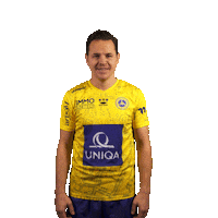 Bravo Celebrating Sticker by FirstViennaFC
