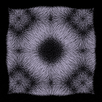 black and white loop GIF by roberthruska