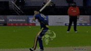 Elvish Haryana GIF
