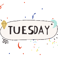Bitcoin Tuesday Sticker by Zypto