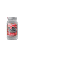 SugarlandsShine shine nascar moonshine daytona Sticker