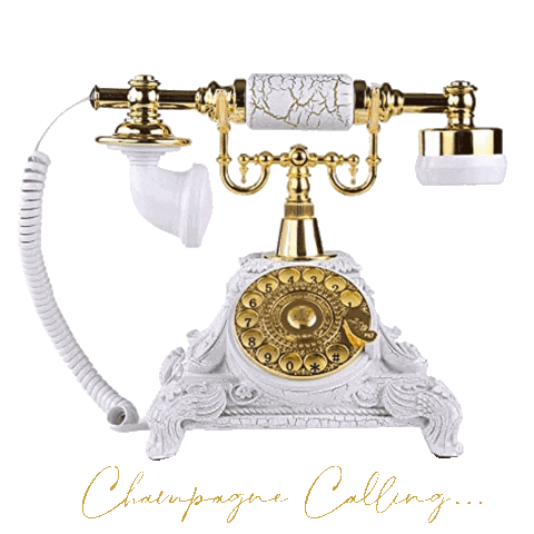 Champagne-Studio giphyupload Sticker