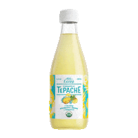 Travel Probiotic Sticker by Big Easy