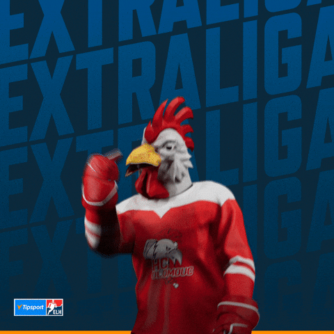 Hockey Hokej GIF by Tipsport extraliga