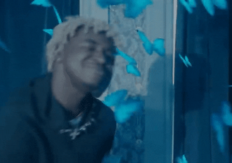 Hip Hop Butterfly GIF by Ken Carson