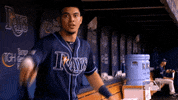 major league baseball sport GIF by MLB