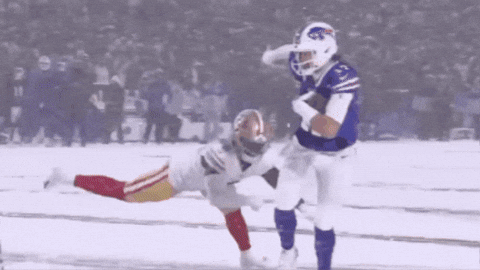ItsTwoOClockTo1 giphygifmaker touchdown 49ers buffalo bills GIF