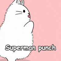 Fight Hitting GIF